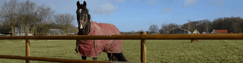 PIT Hegn – heste hegn af høj kvalitet